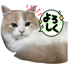 Fuwa_20240321114622