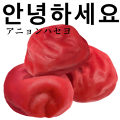 梅干し です　しそ漬け　韓国語