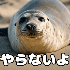 Unmotivated seal