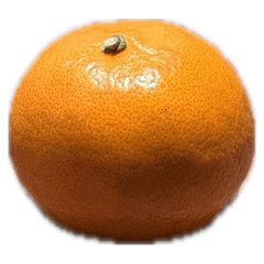 橘子（自用