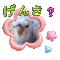 SANAE_20240321145918