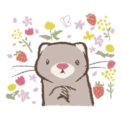 Ferrets make us feel warm -spring-
