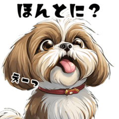 Cute Shih Tzu that can be used every day