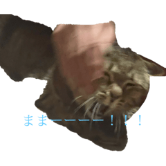 ito ai_20240321164030