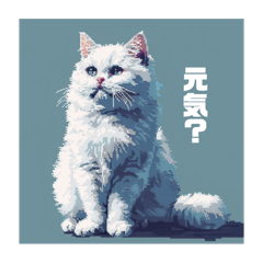 表情豊かな白猫ちゃん