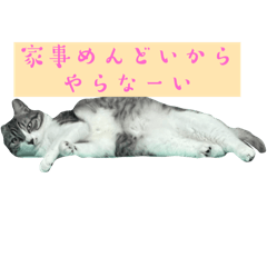 yuri_20240321195406