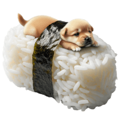 The Dogs Turned into Sushi