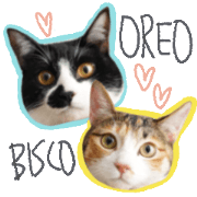 Oreo&Bisco's Sticker
