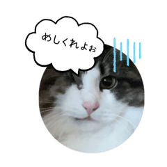nurechan_20240321215031