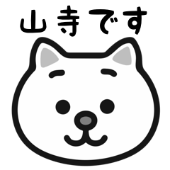 Yamadera white cats sticker