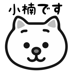 Shounan white cats sticker