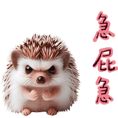 Hedgehog funny cute-60