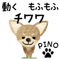 Chihuahua "PINO" MOVE STICKER