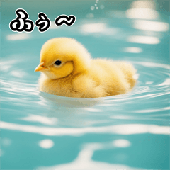 Cute Chick  Stickers