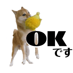 Kibako_20240322125138