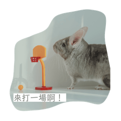 龍貓二哥 心情語錄