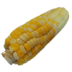 食物系列 : 一些玉米 #17