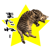 H sama's  sticker