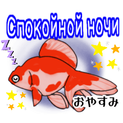 可愛い金魚たち(ロシア語と日本語)