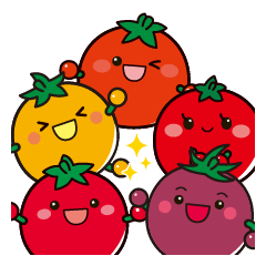 community farm tomatoes