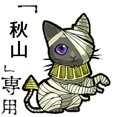 Mummycat Name akiyama Animation
