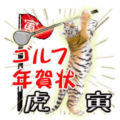 Happy New Year Golf stickers, tiger&ball