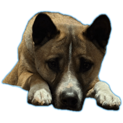 Momomonootomodati_20240322153121