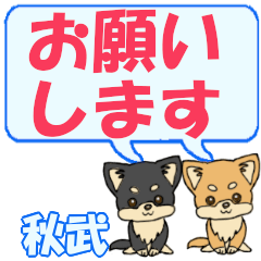 Akitake's letters Chihuahua2
