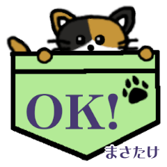 Masatake's Pocket Cat's