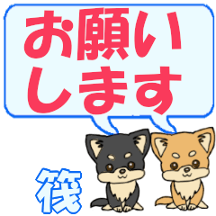 Ikada's letters Chihuahua2