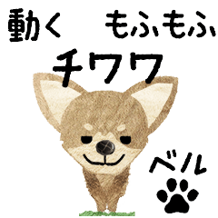 Chihuahua "BELL" MOVE STICKER