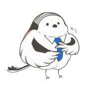 runan_20240322210155