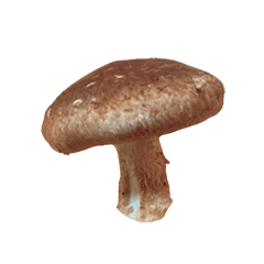 Very delicious mushrooms