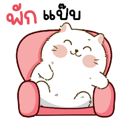 Cute cat : Happy