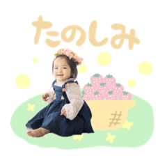 SUZU_20240323144426