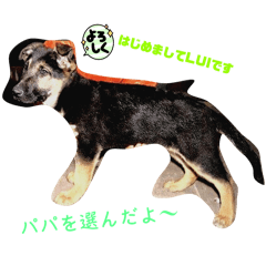 kizuna.y.T_20240323060600