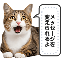 Greet with Cat Meme! Message Sticker