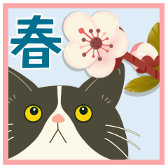 Cherry blossom viewing sticker 01