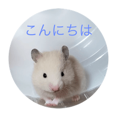 junko_20240323210242