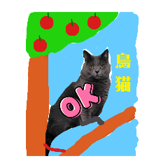 Dodo Cat Sticker