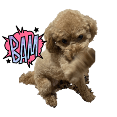 SakuRa_20240323225055