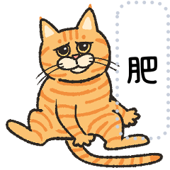 橘子是隻小肥貓