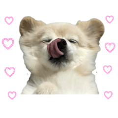suzu_20240324050939