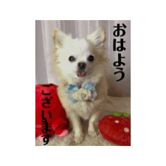 mayu_20240324145320