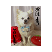 mayu_20240324145320