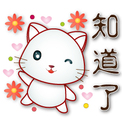 Cute white cat--every day greetings