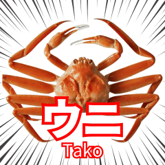 カニ (ウニ Tako)