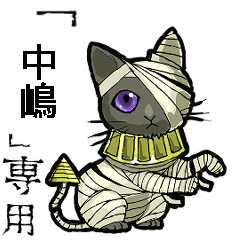 Mummycat Name nakajima Animation