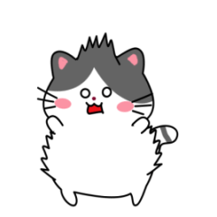 perilaku kucing gemuk