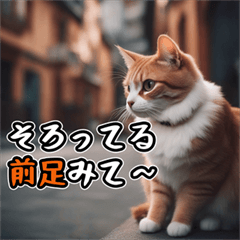 Funny Cat Stickers01